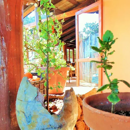 Farm stay Agriturismo Calamosche Noto