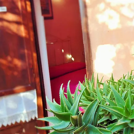 Agriturismo Calamosche *