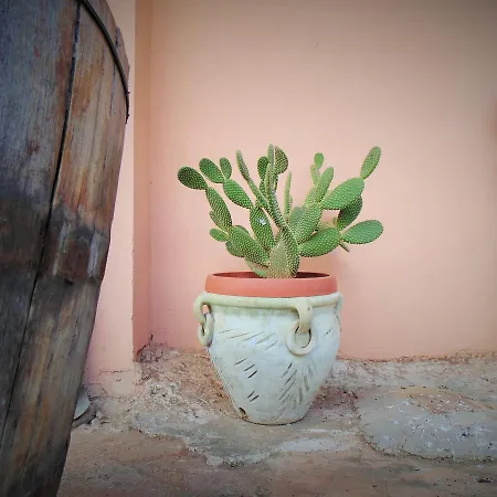 Farm stay Agriturismo Calamosche Noto