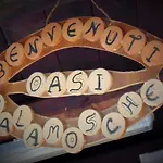 Фермерский дом Agriturismo Calamosche *