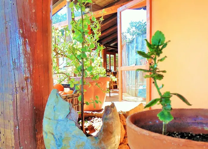 Séjour à la ferme Agriturismo Calamosche Noto