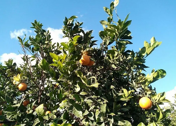 Agriturismo Calamosche Noto